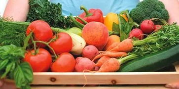 想要活下去的萬科 全面布局農業板塊，以軍莊鎮為例探索生鮮農產品種植特色小鎮