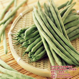 宏鴻農(nóng)產(chǎn)品集團(tuán) 以專(zhuān)業(yè)配送引領(lǐng)有機(jī)蔬菜新風(fēng)尚